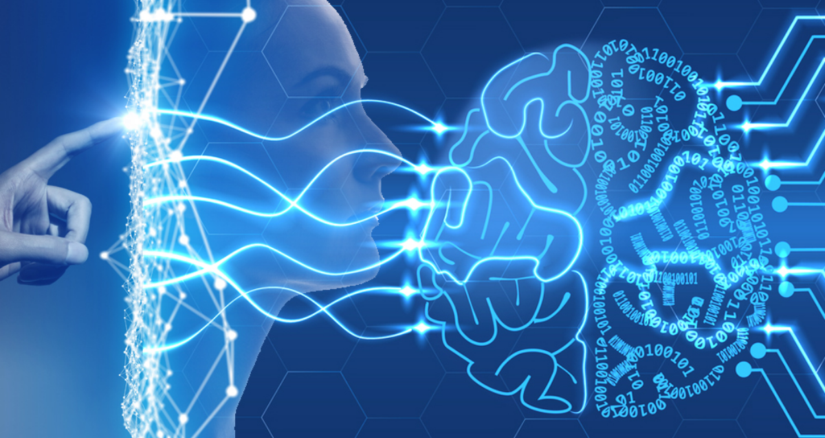 AI Modelleri Nedir?