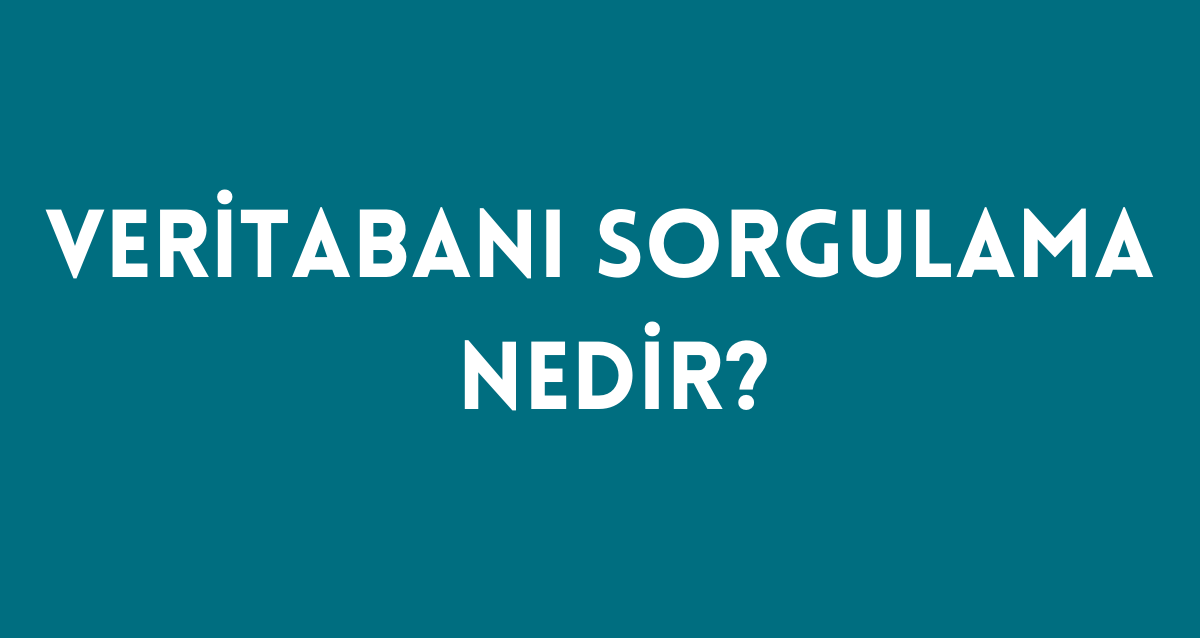 Veritabanı Sorgulama Nedir?