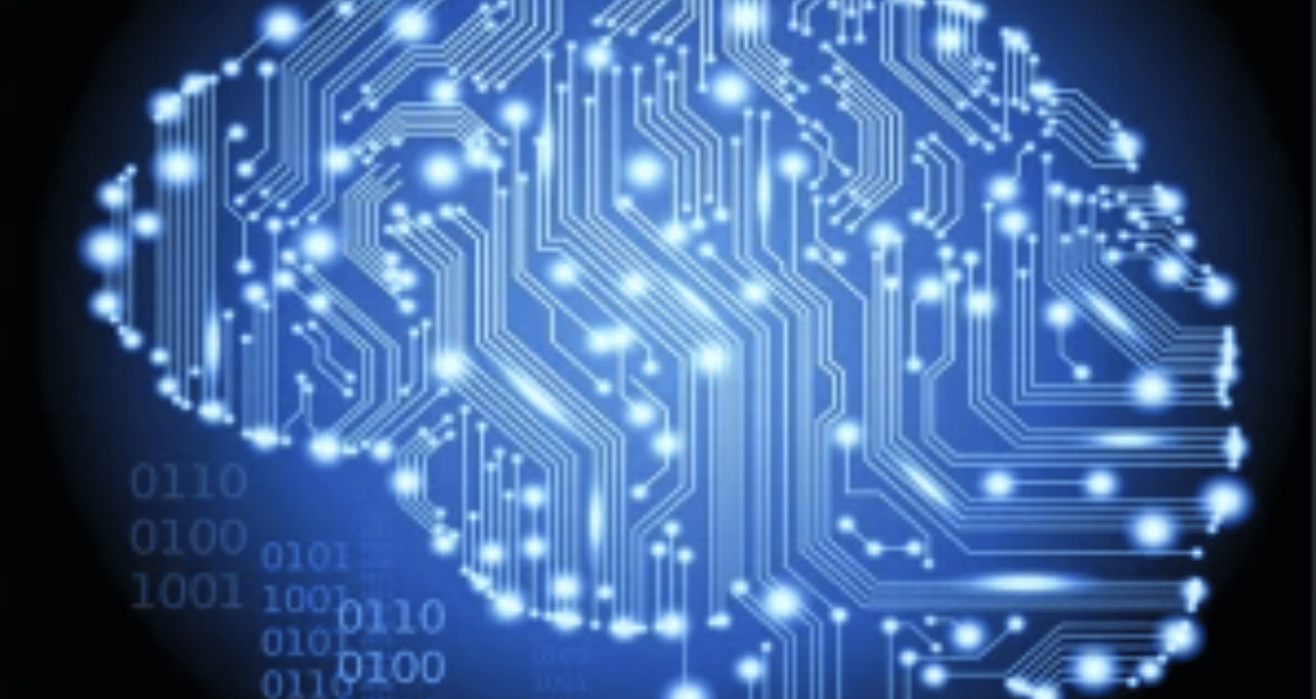 Yazılım Türleri ve Özel Alanlar