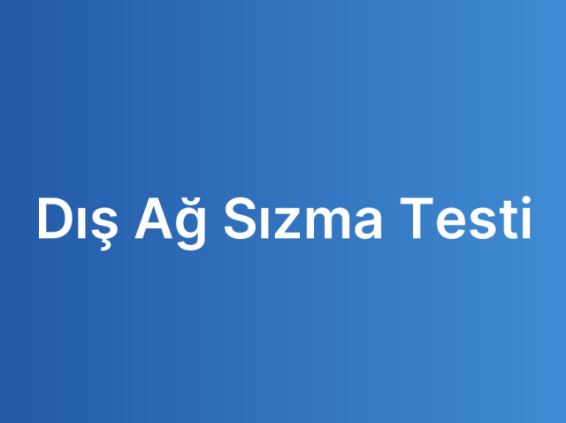 Dış Ağ Sızma Testi