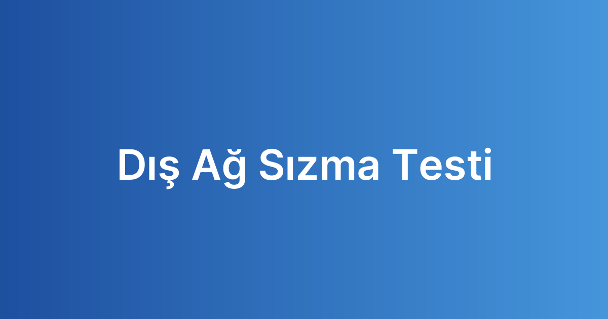 Dış Ağ Sızma Testi