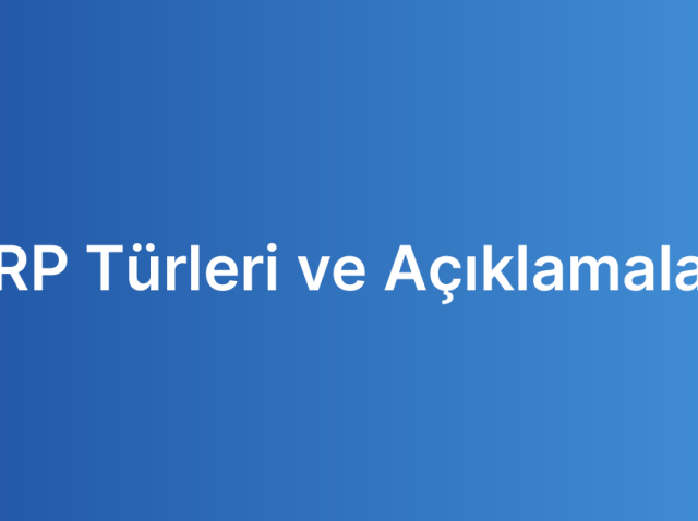 ERP Türleri ve Açıklamaları