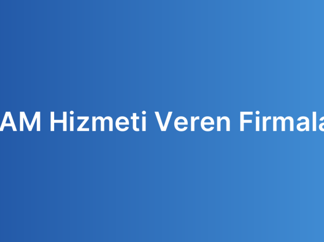 PAM Hizmeti Veren Firmalar