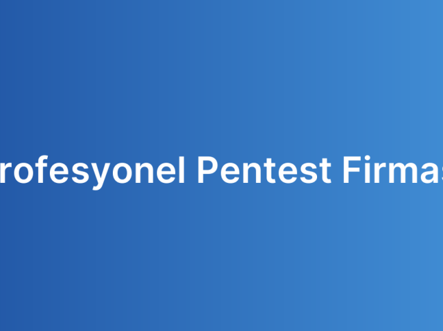 Profesyonel Pentest Firması