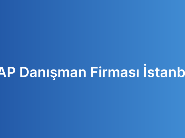 SAP Danışman Firması İstanbul