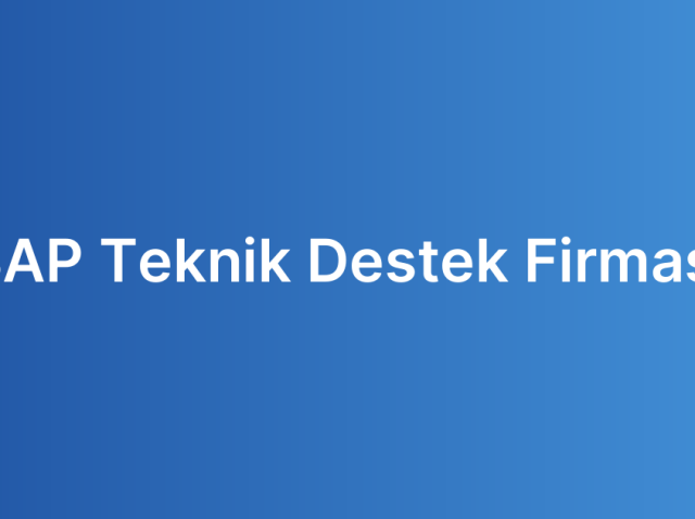 SAP Teknik Destek Firması