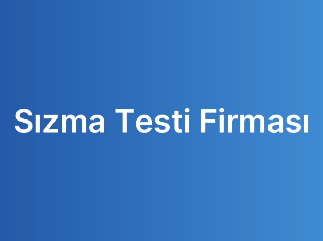 Sızma Testi Firması