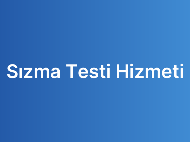 Sızma Testi Hizmeti