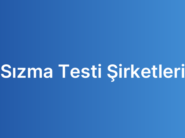Sızma Testi Şirketleri