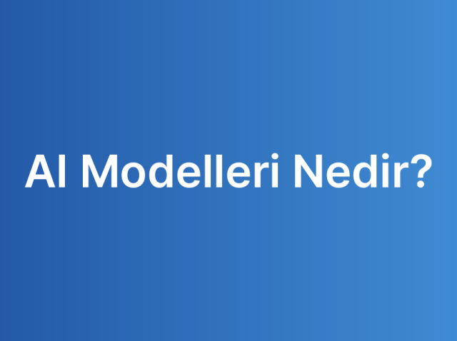 AI Modelleri Nedir?