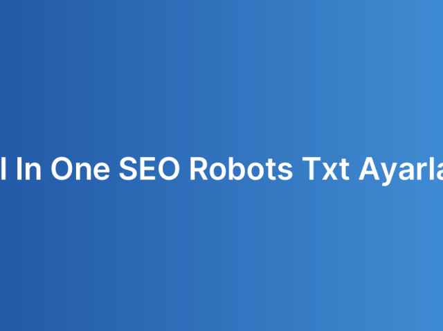 All In One SEO Robots Txt Ayarları