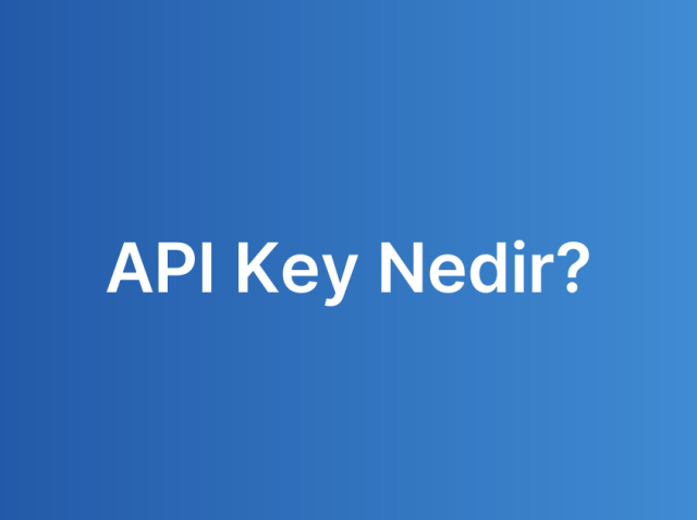 API Key Nedir?