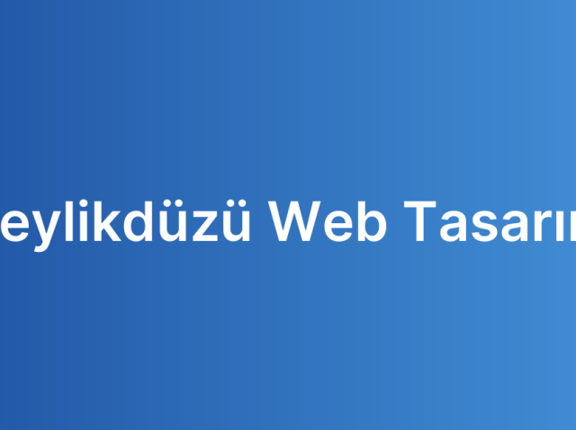 Beylikdüzü Web Tasarım