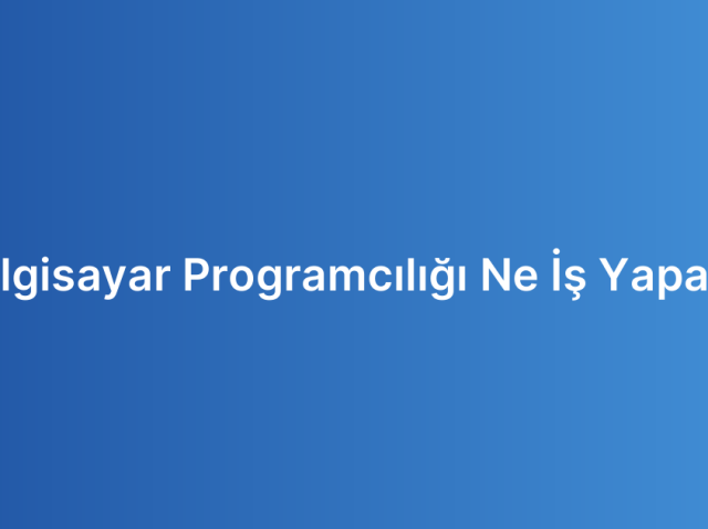 Bilgisayar Programcılığı Ne İş Yapar?