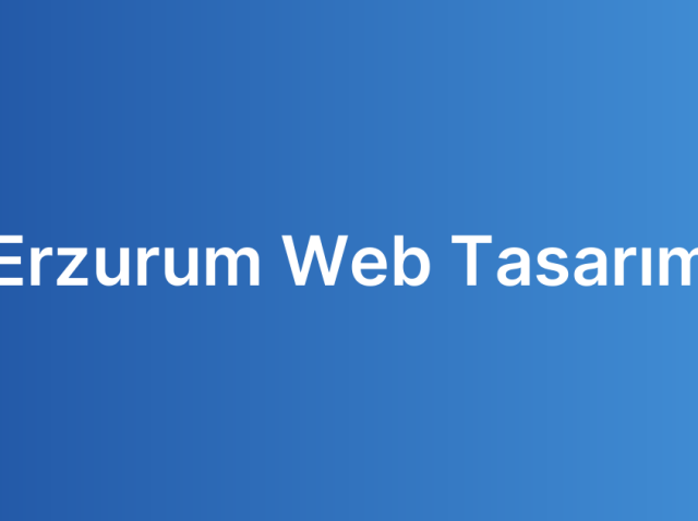 Erzurum Web Tasarım