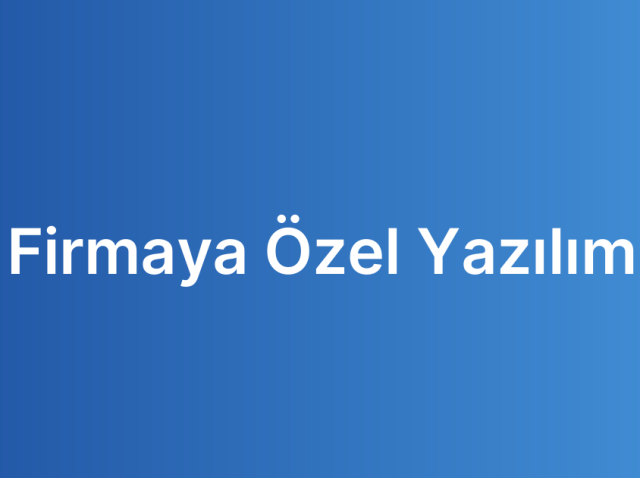Firmaya Özel Yazılım