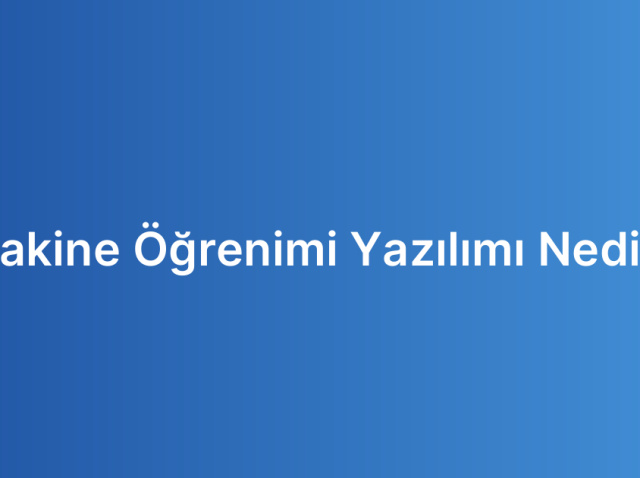 Makine Öğrenimi Yazılımı Nedir?