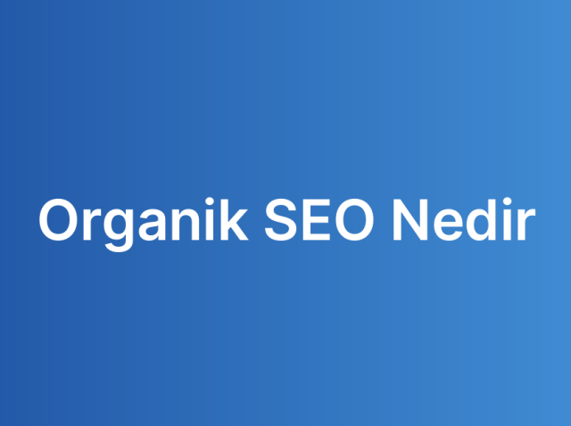 Organik SEO Nedir