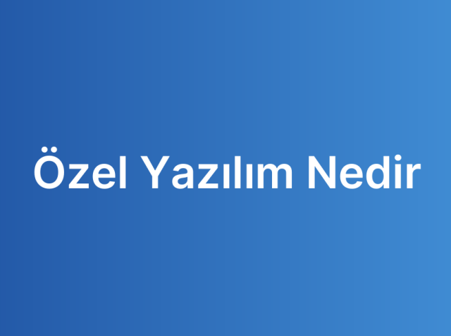 Özel Yazılım Nedir