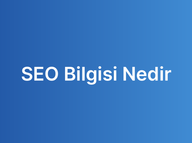 SEO Bilgisi Nedir