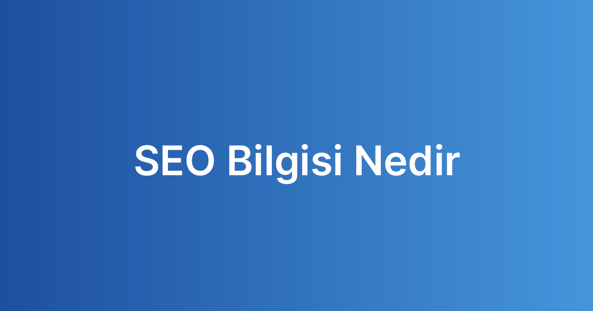 SEO Bilgisi Nedir