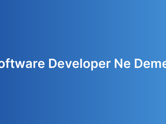 Software Developer Ne Demek