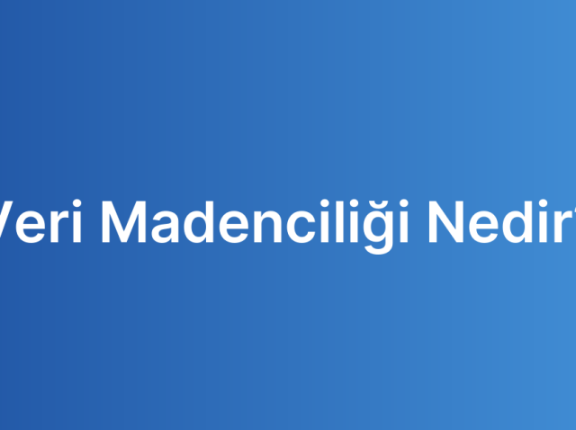 Veri Madenciliği Nedir?