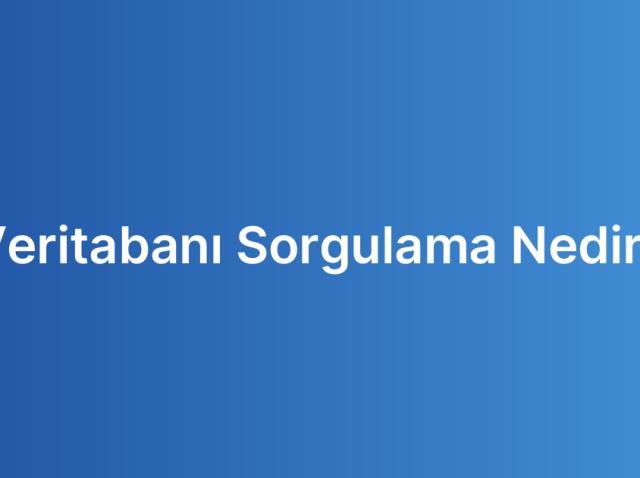 Veritabanı Sorgulama Nedir?