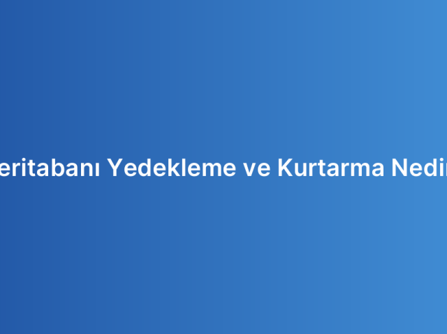 Veritabanı Yedekleme ve Kurtarma Nedir?