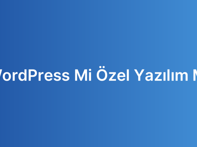 WordPress Mi Özel Yazılım Mı