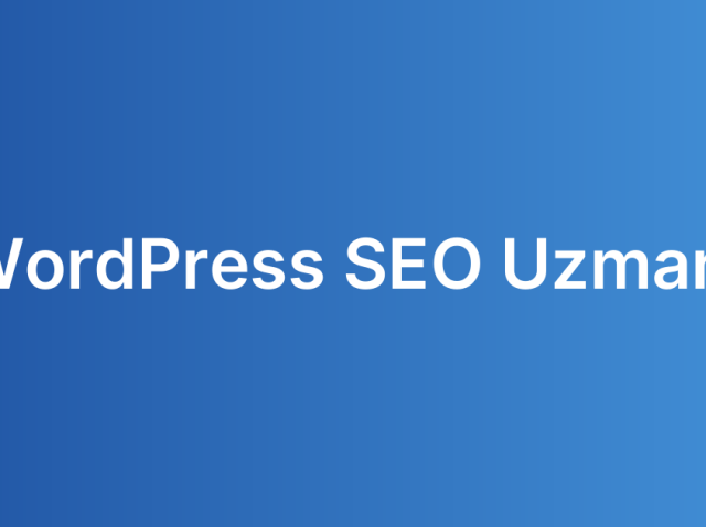WordPress SEO Uzmanı