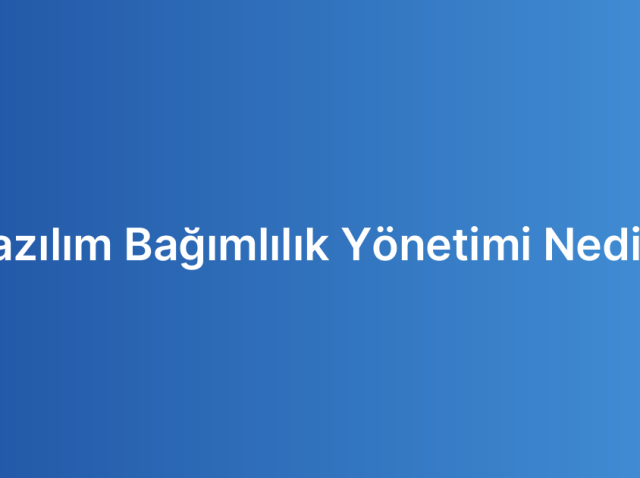 Yazılım Bağımlılık Yönetimi Nedir?