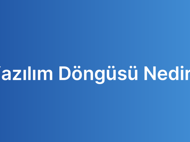 Yazılım Döngüsü Nedir?