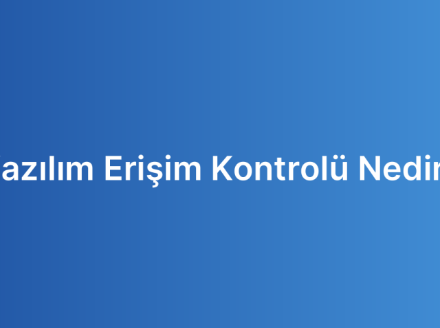 Yazılım Erişim Kontrolü Nedir?