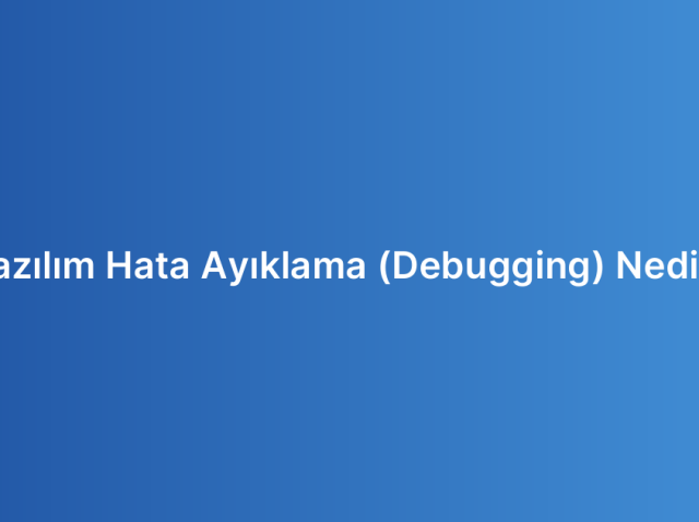 Yazılım Hata Ayıklama (Debugging) Nedir?