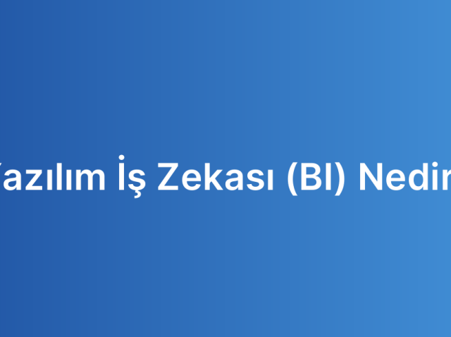 Yazılım İş Zekası (BI) Nedir?