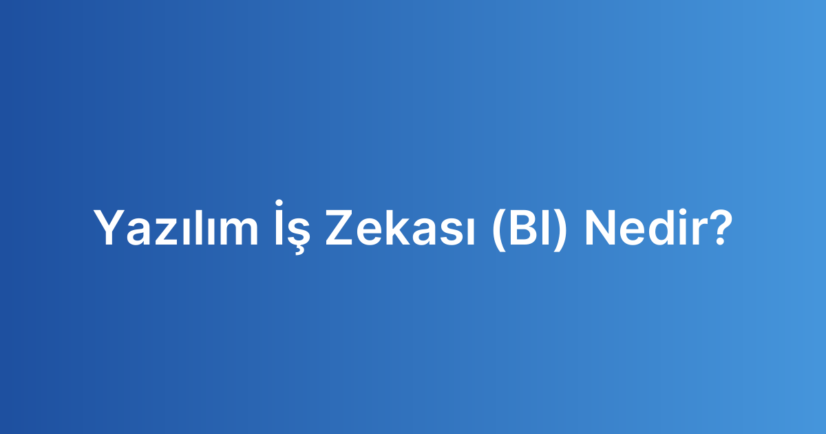 Yazılım İş Zekası (BI) Nedir?