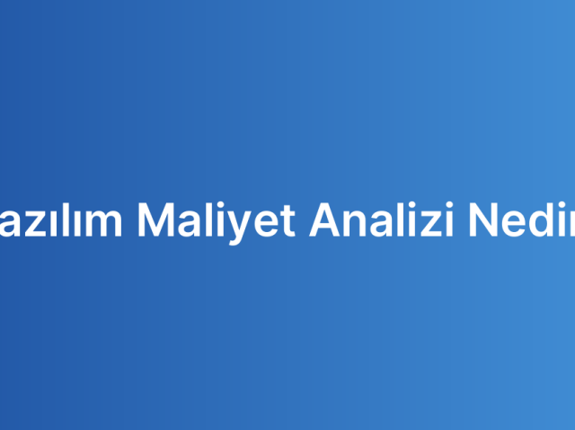 Yazılım Maliyet Analizi Nedir?