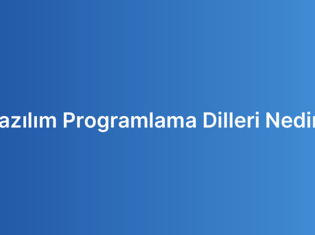 Yazılım Programlama Dilleri Nedir?