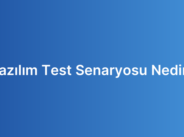 Yazılım Test Senaryosu Nedir?