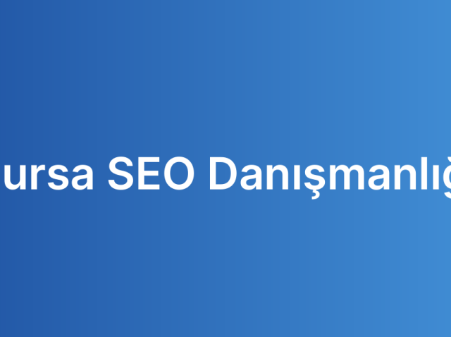 Bursa SEO Danışmanlığı