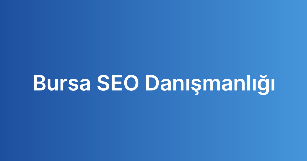 Bursa SEO Danışmanlığı