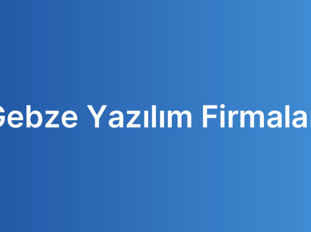 Gebze Yazılım Firmaları