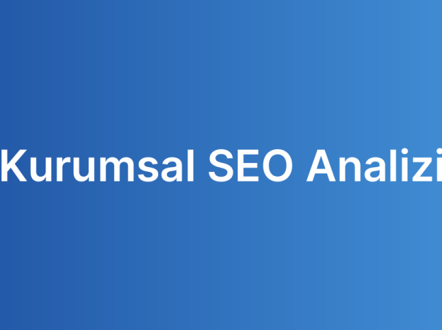 Kurumsal SEO Analizi