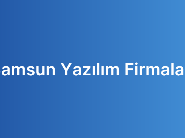 Samsun Yazılım Firmaları
