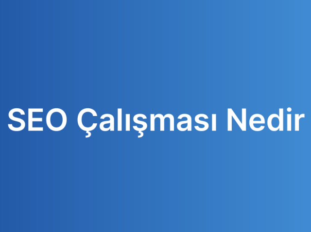 SEO Çalışması Nedir