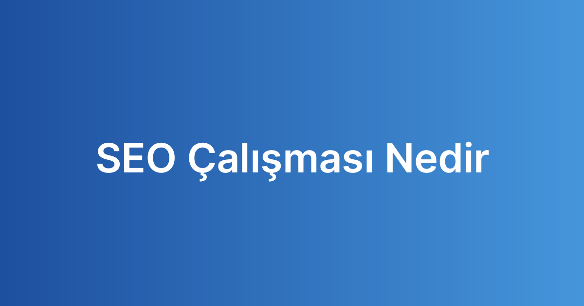 SEO Çalışması Nedir