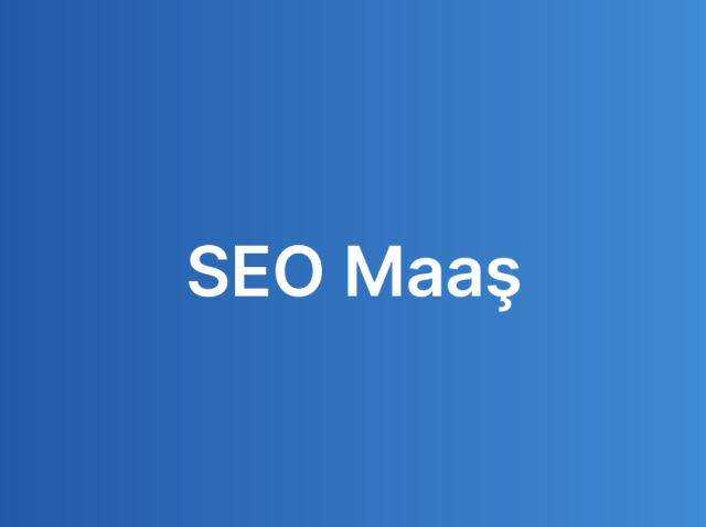 SEO Maaş