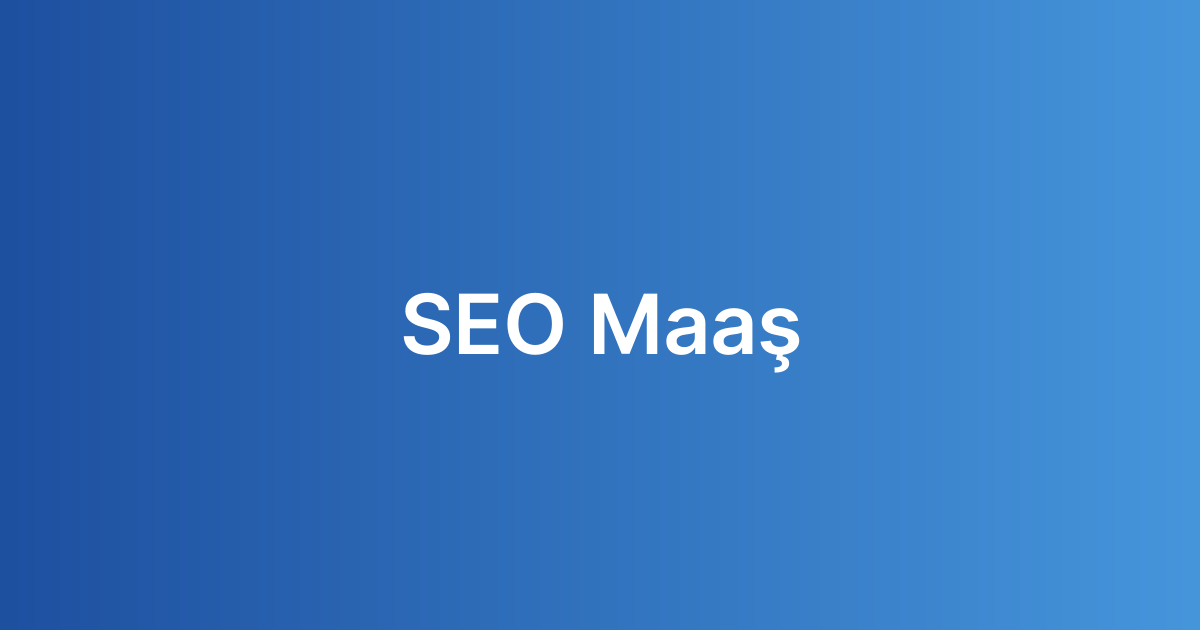 SEO Maaş