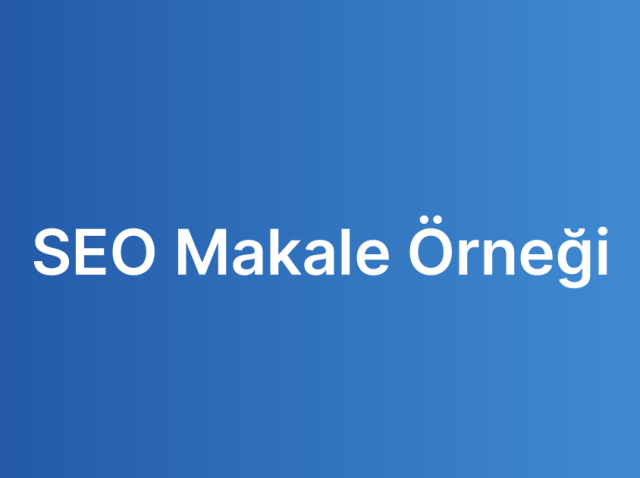SEO Makale Örneği